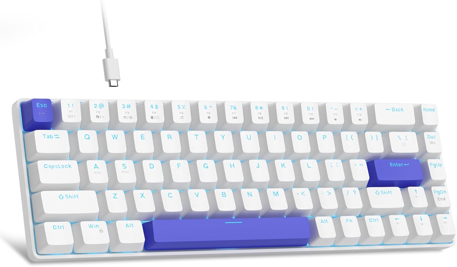 MageGee Portable 60% Mechanical Gaming Keyboard, Hot Swappable Blue Whale Switch, RGB Backlit Compact 68 Keys Mini Wired Office Keyboard for Windows Laptop PC, with Silencing Cotton, Klein Blue
